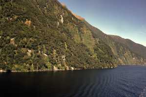 FIORDLAND-NATIONAL-PARK-2019 (251)